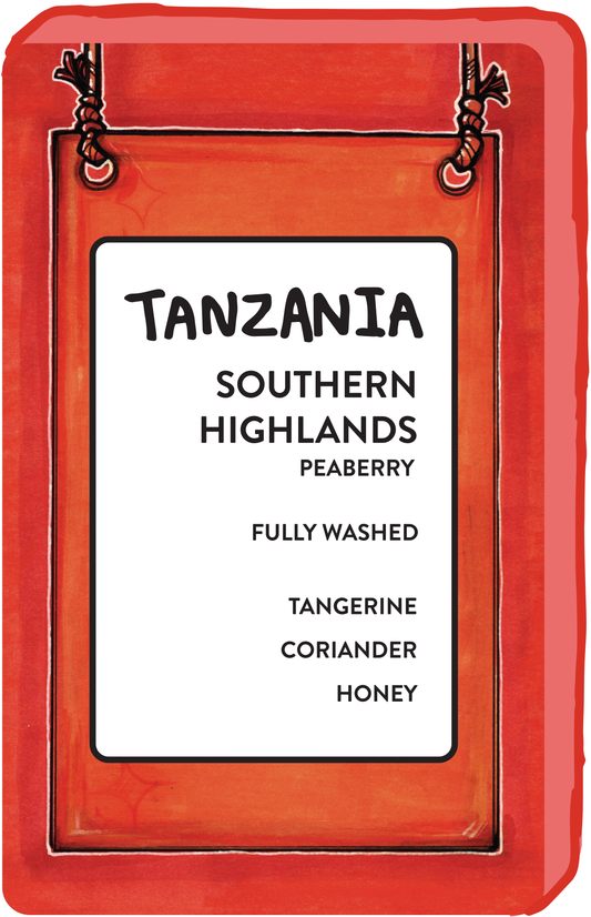 TANZANIA SOUTHERN HIGHLANDS PEABERRY