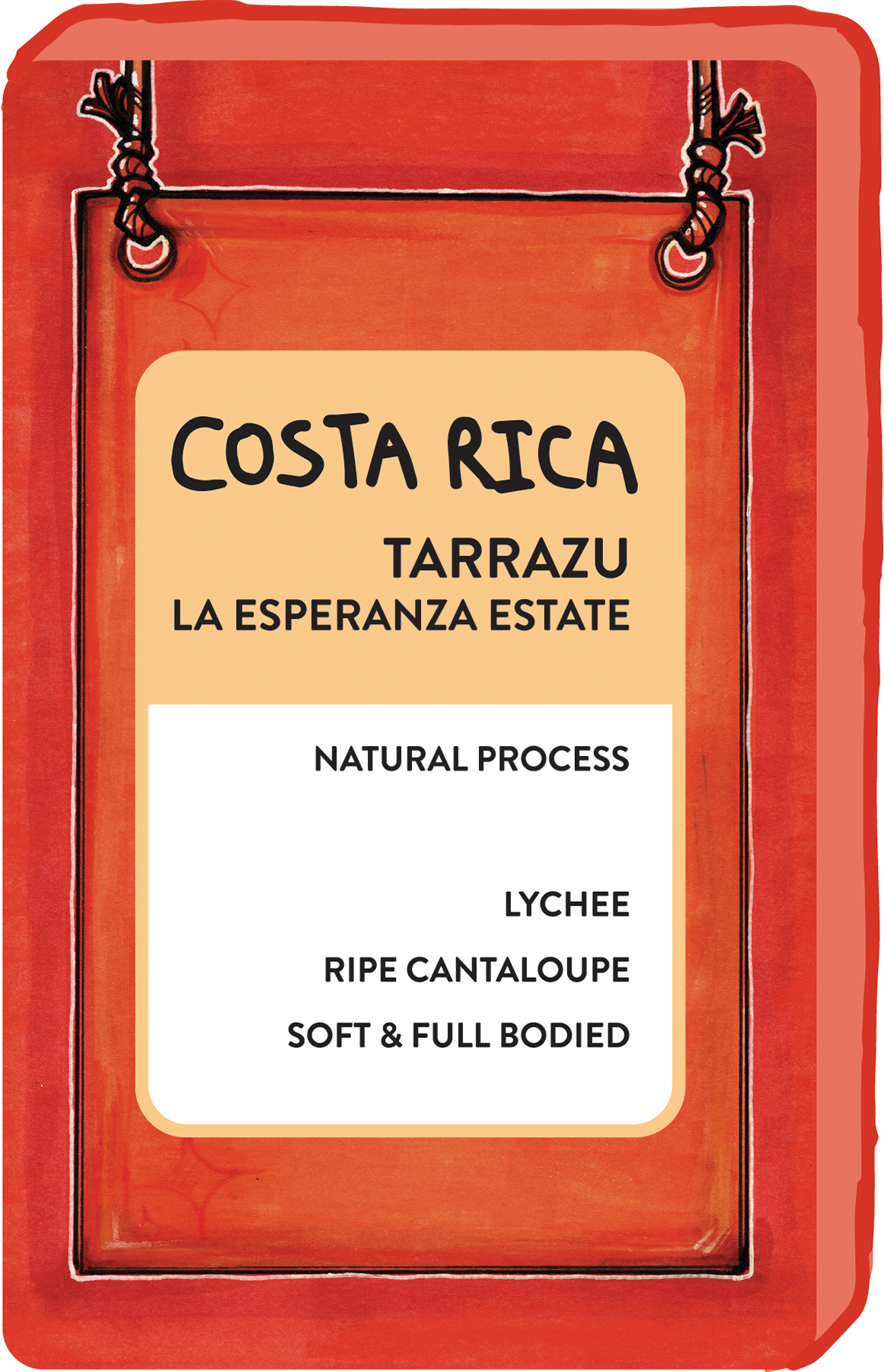 COSTA RICA TARRAZU LA ESPERANZA ESTATE