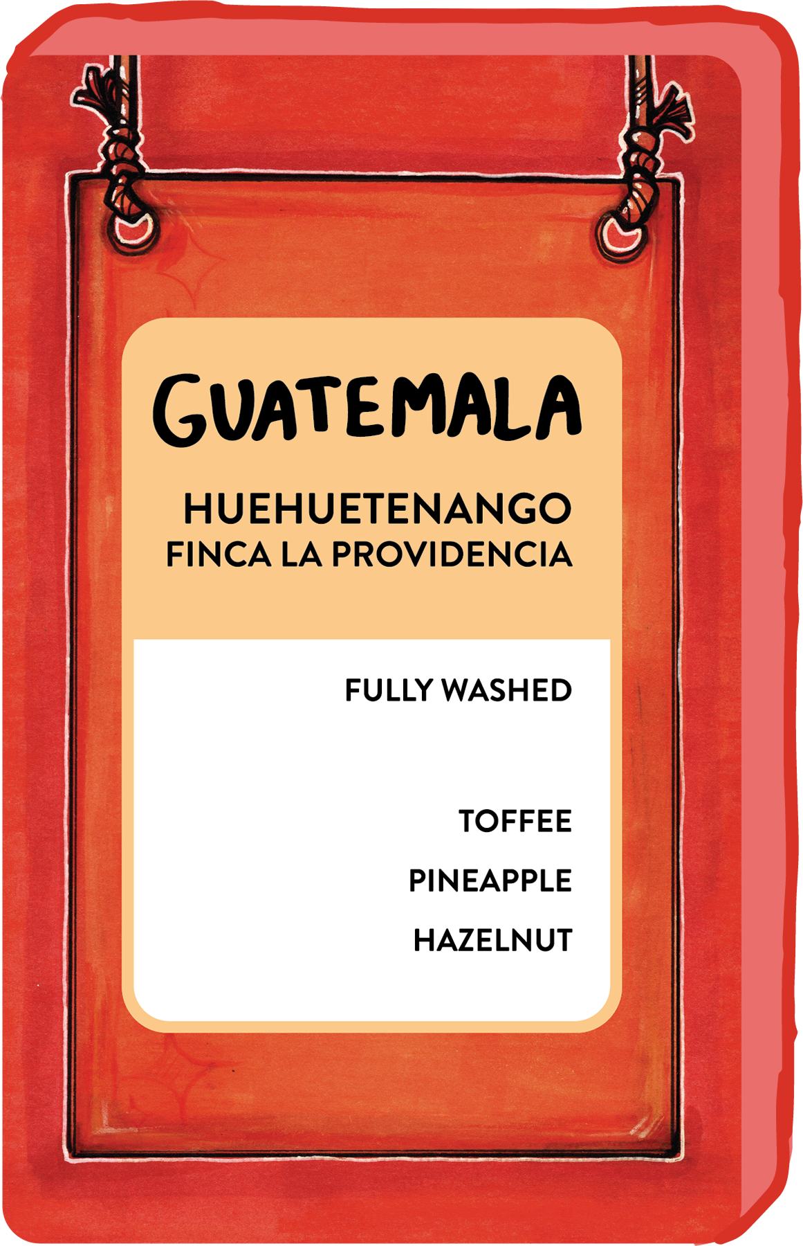 GUATEMALA HUEHUETENANGO FINCA LA PROVIDENCIA PALHU